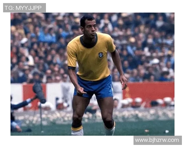 加查：巴西足球传奇的崛起与荣耀背后的奋斗故事